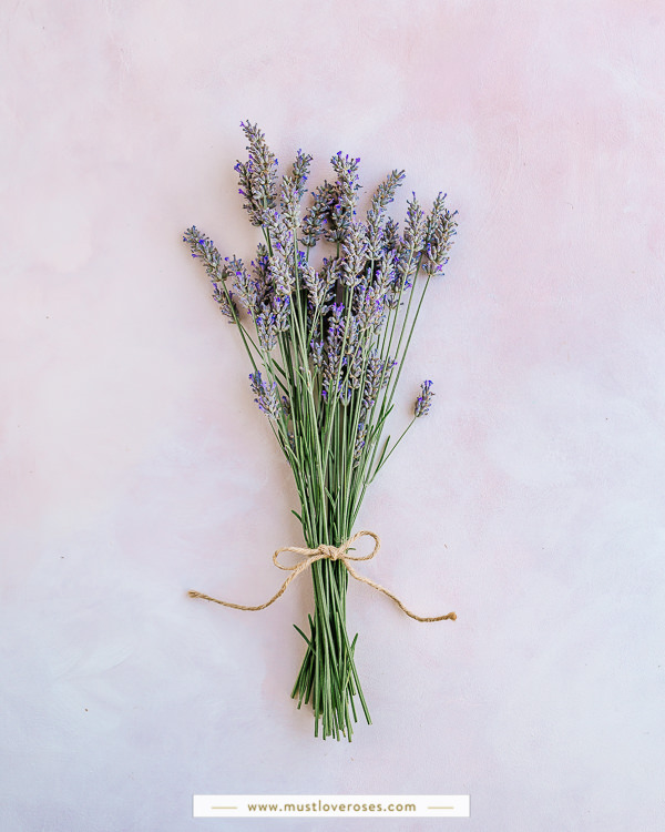 How to Dry Lavender Plants: Preservation Methods