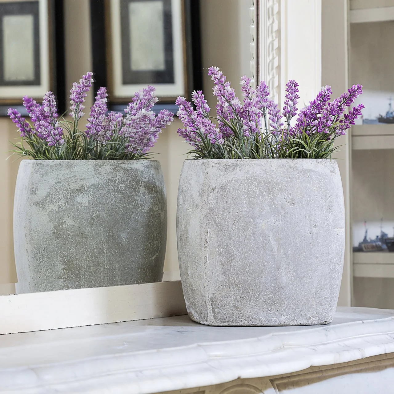 Lavender Plant in Pot: Essential Container Growing Tips