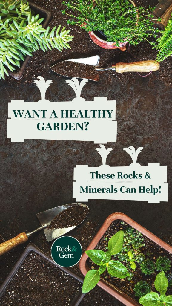 Plants With Iron: Essential Mineral Garden Guide