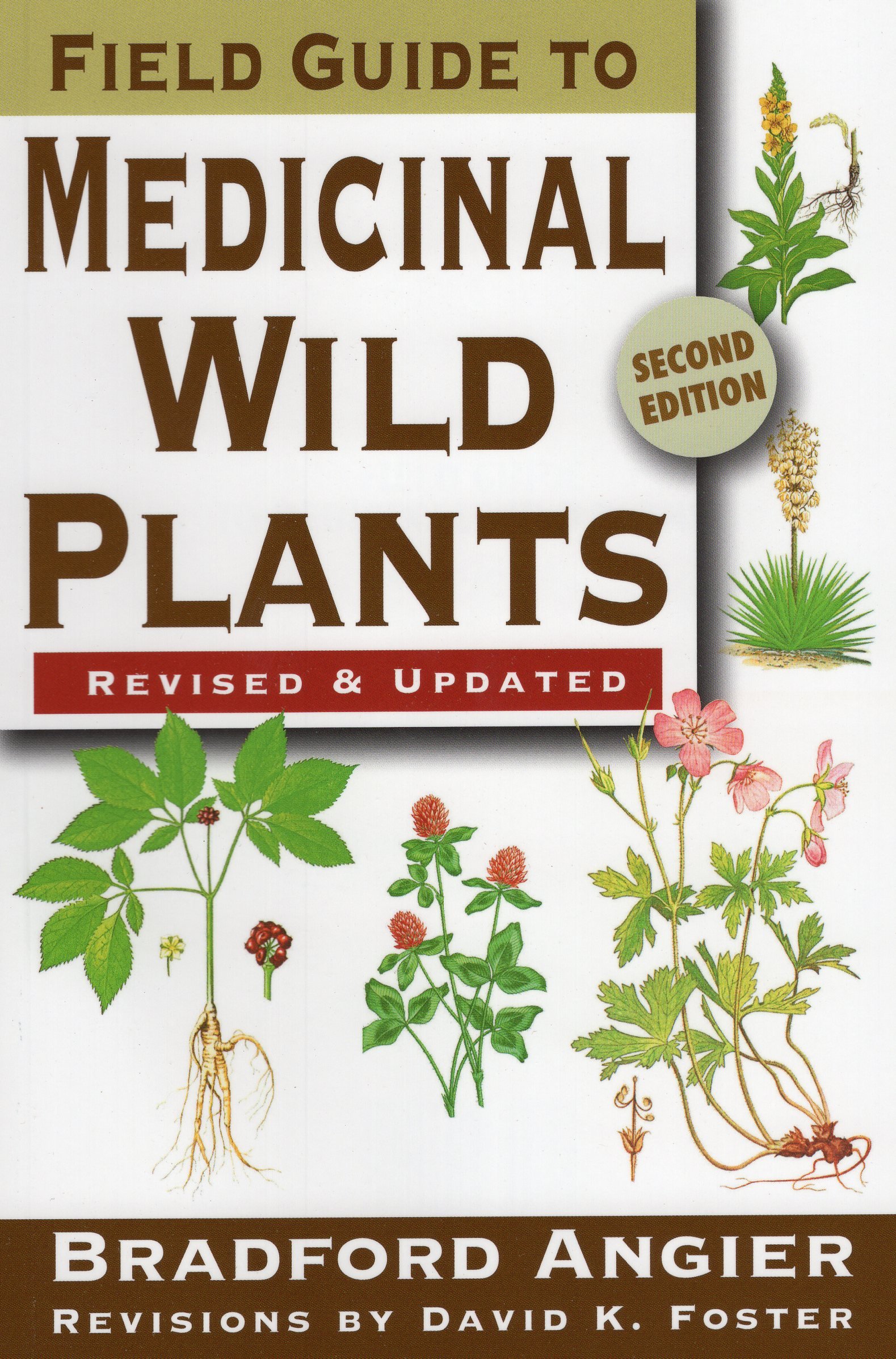 Plants With Medicinal Properties: Natural Guide