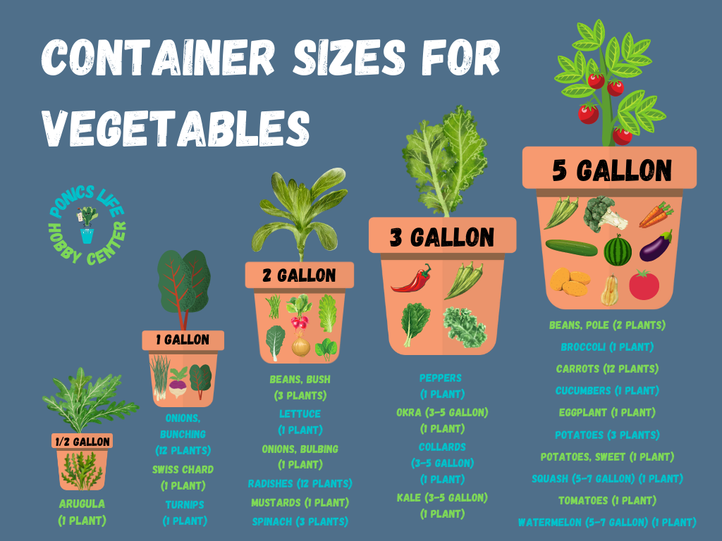 Plants With Shallow Roots: Container Garden Guide