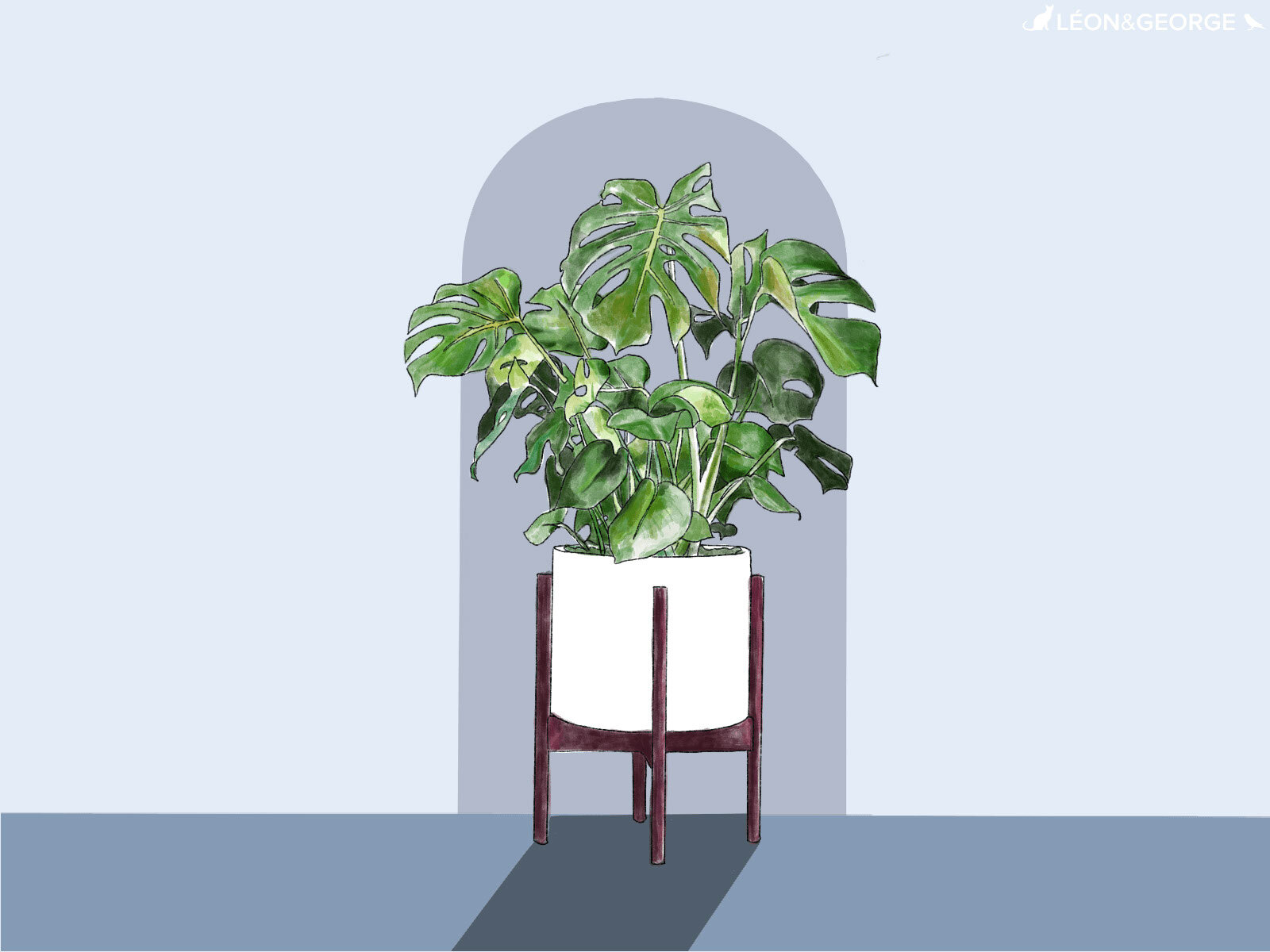 Propagate Monstera Plants: Step-by-Step Guide