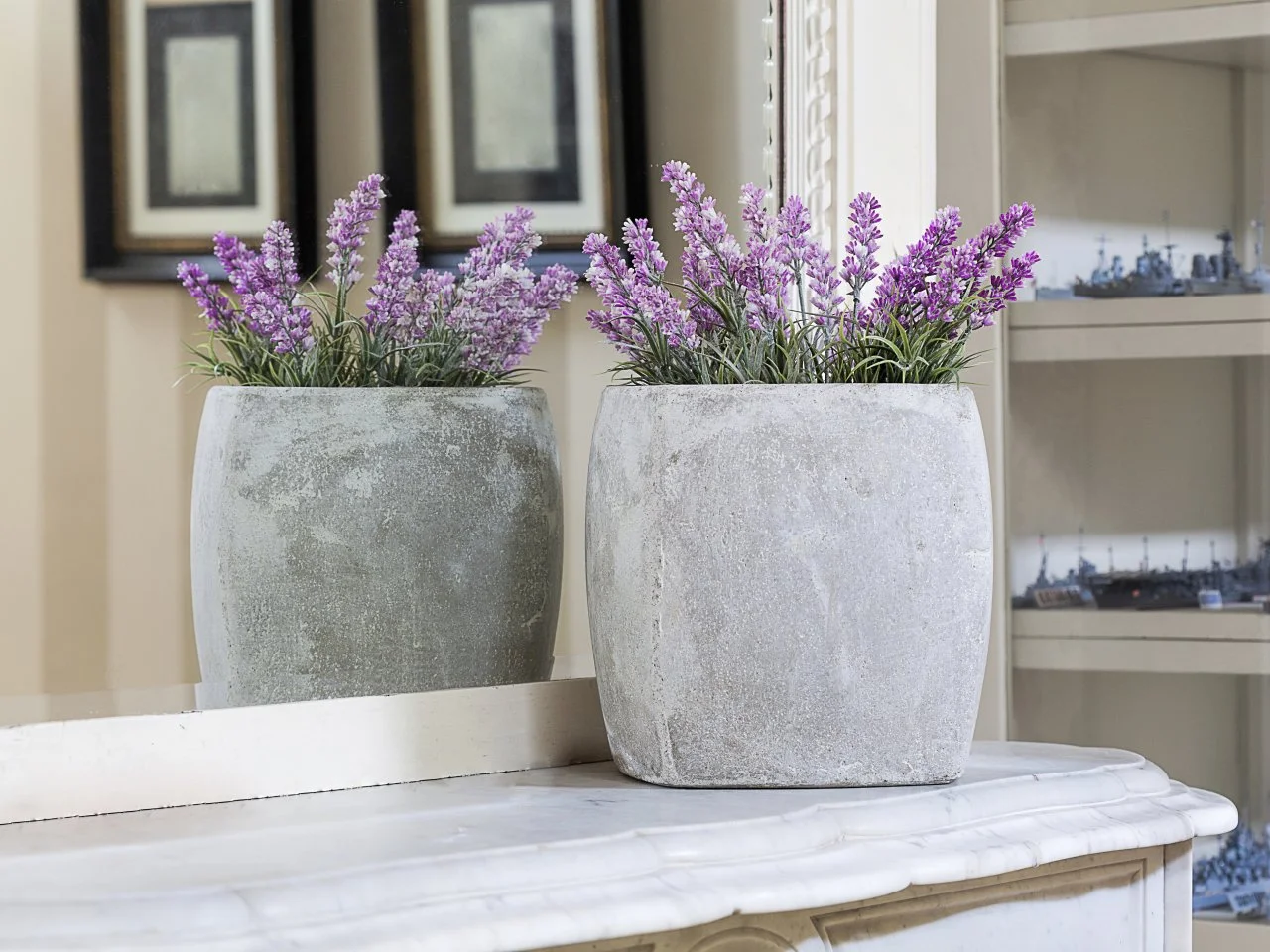 What is the Sunlight of a Lavender Plant? Growth Guide